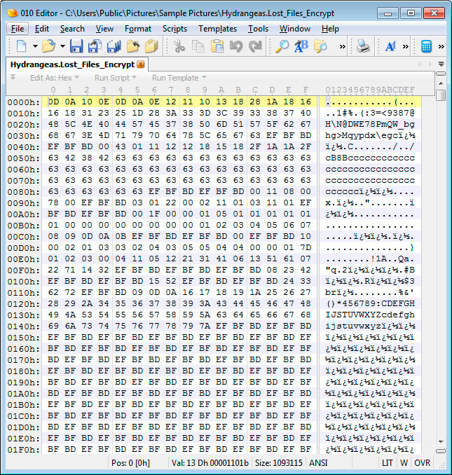 Corrupted Image File