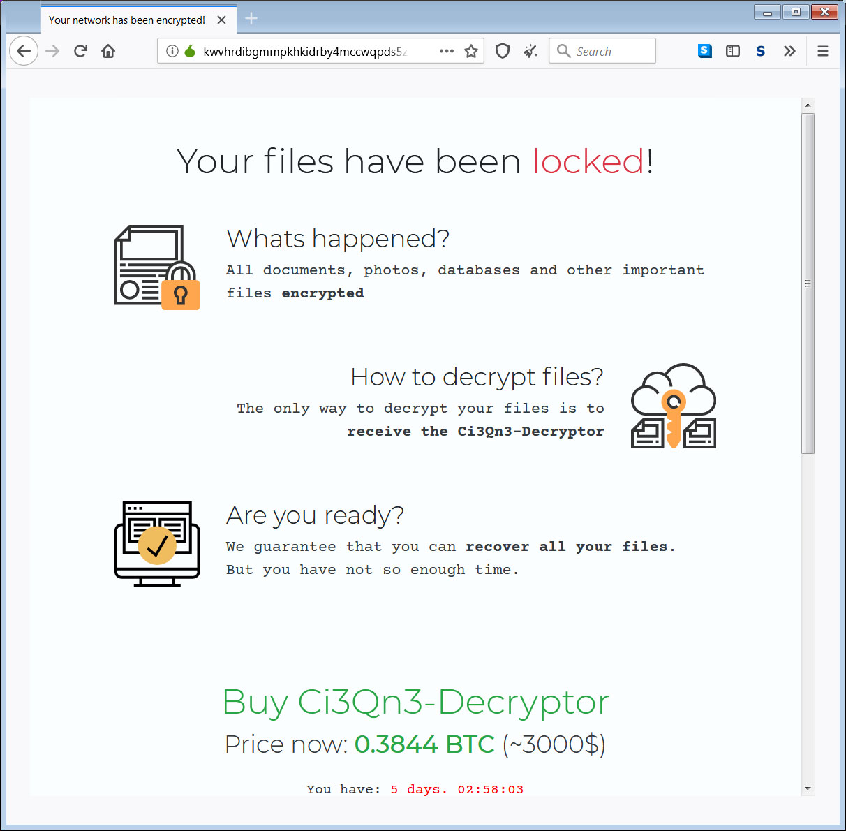 Tor Payment Site