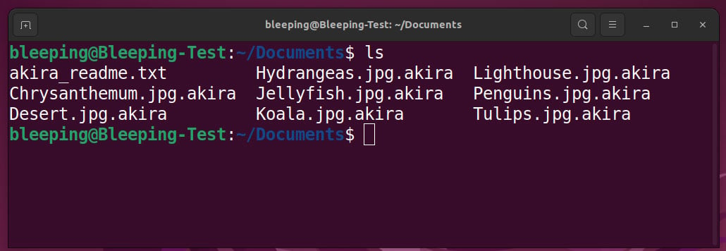 Linux サーバー上で Akira によって暗号化されたファイル