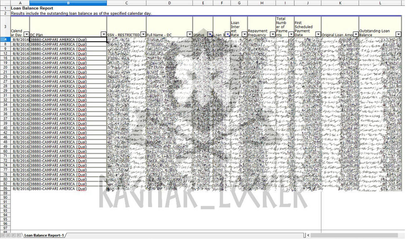 A spreadsheet containing employee's SSN numbers