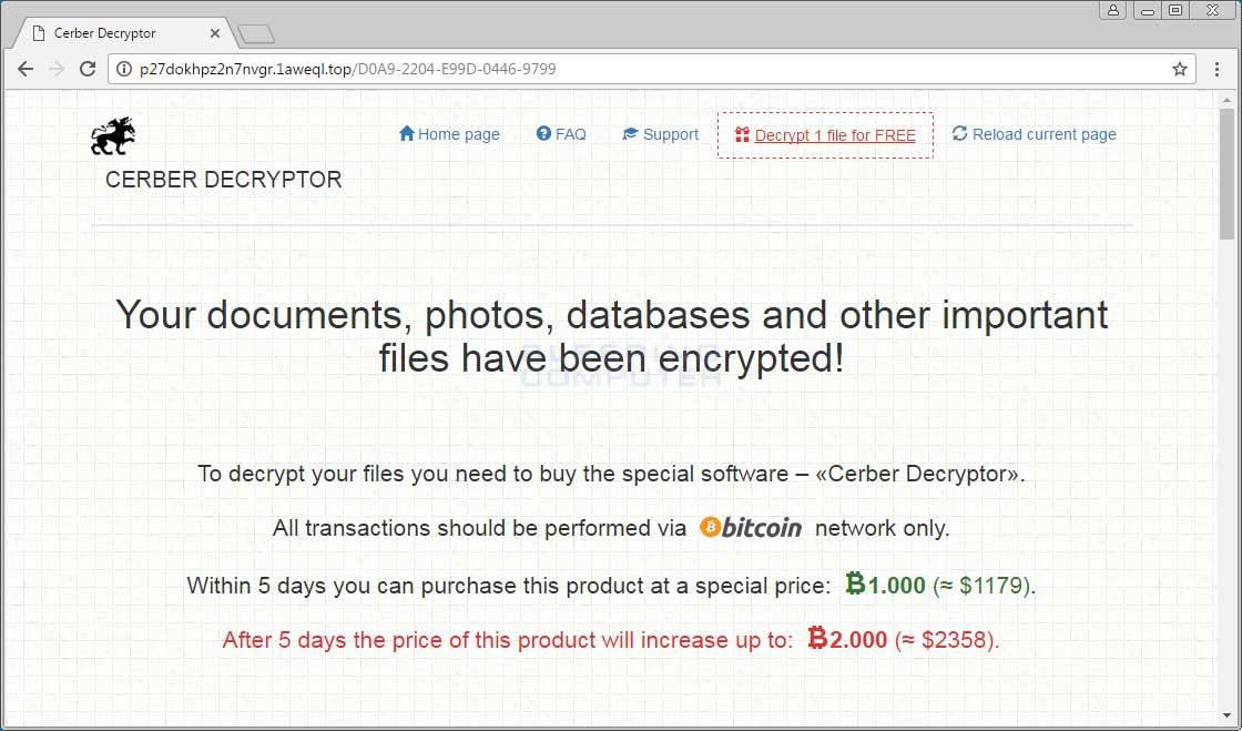 Cerber Payment Site