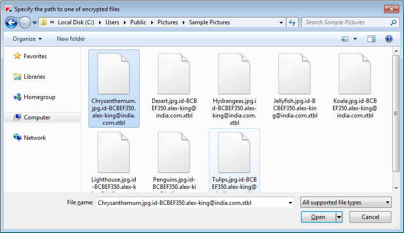 Select a CrySiS Encrypted File