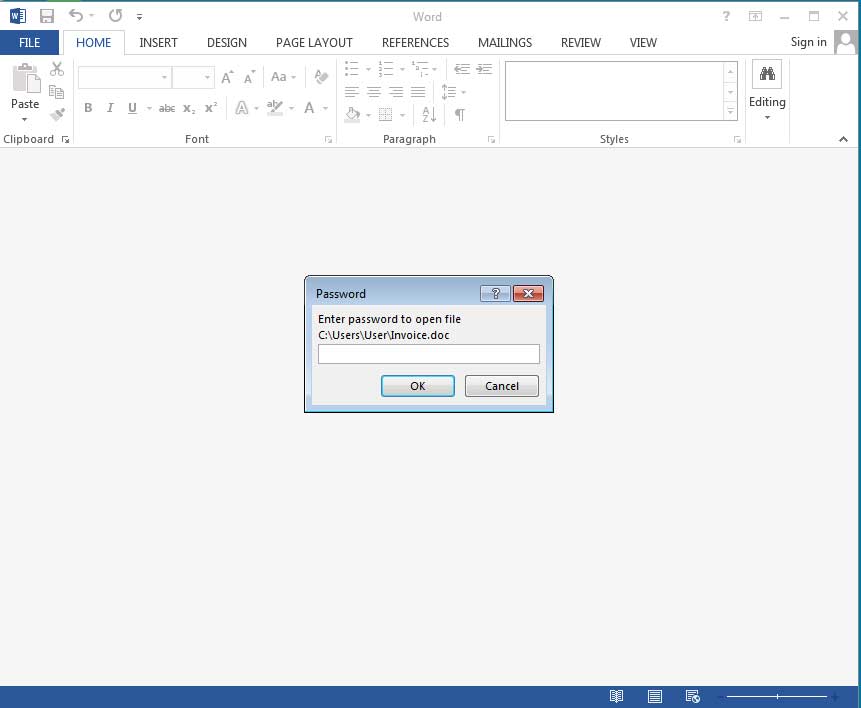 Document asking for a password