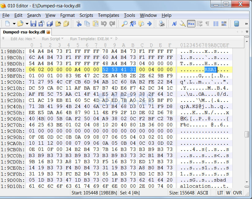 Embedded RSA Key