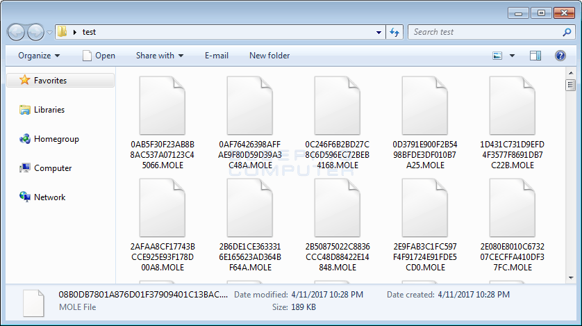Encrypted Files