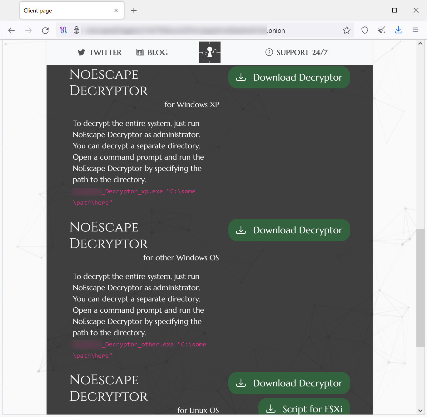 Meet NoEscape: Avaddon ransomware gang's likely successor 8 Available NoEscape decryptors after paying