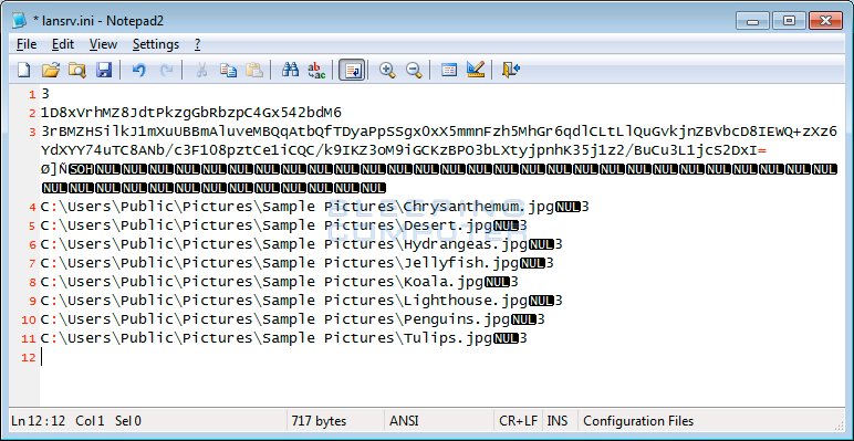 Lansrv.ini File showing the RSA Encrypted AES Key