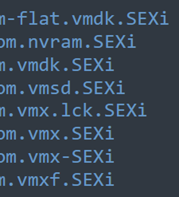 Encrypted virtual machine files with the .SEXi extension