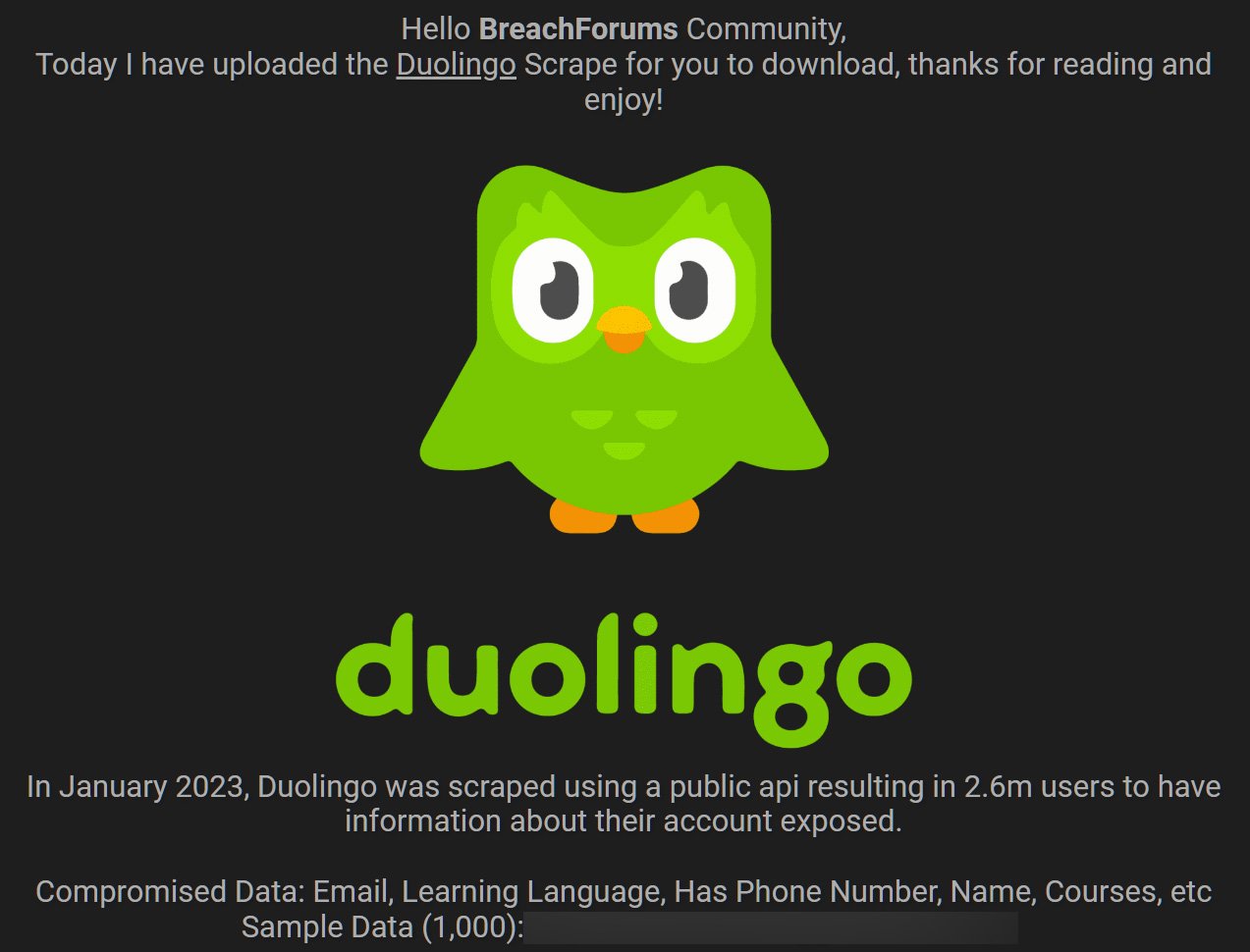 duolingo-leaked.jpg