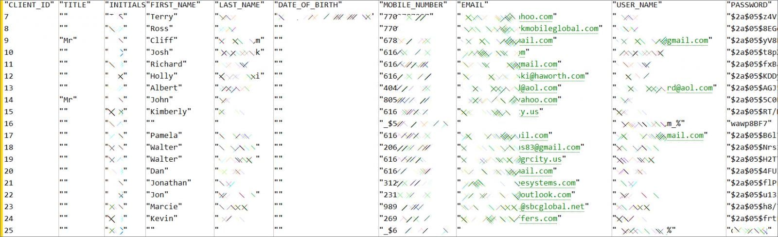 Heavily redacted sample of stolen ParkMobile data