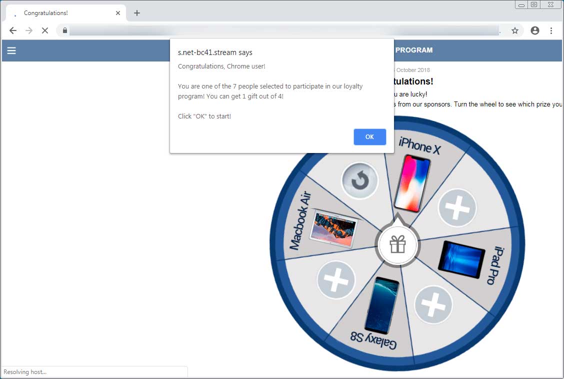 Redirected Scam Site