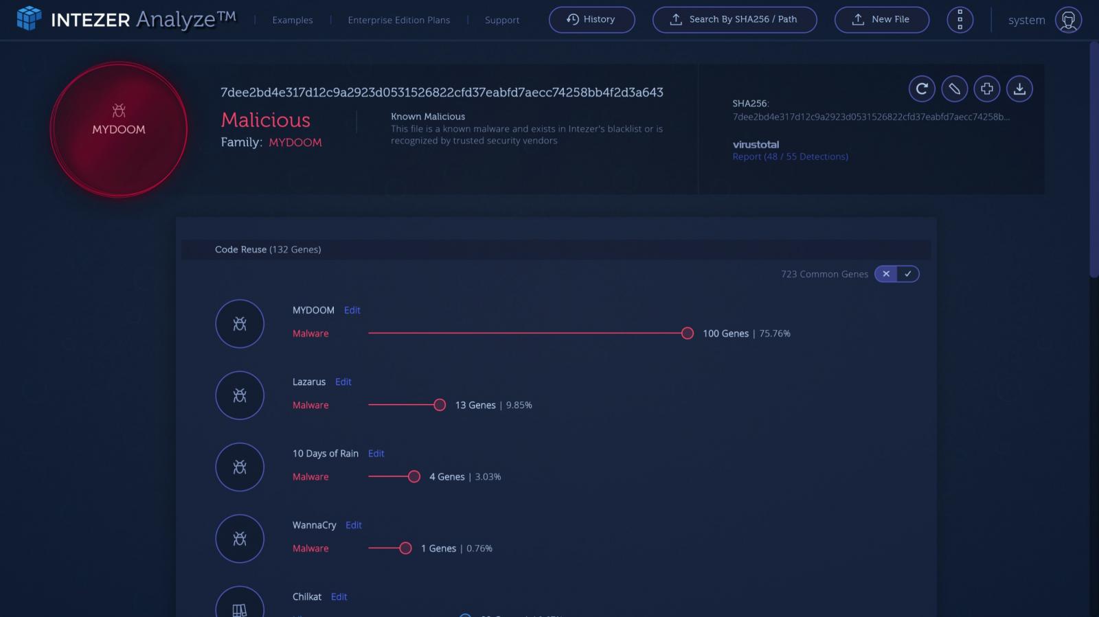 Intezer Code Analysis
