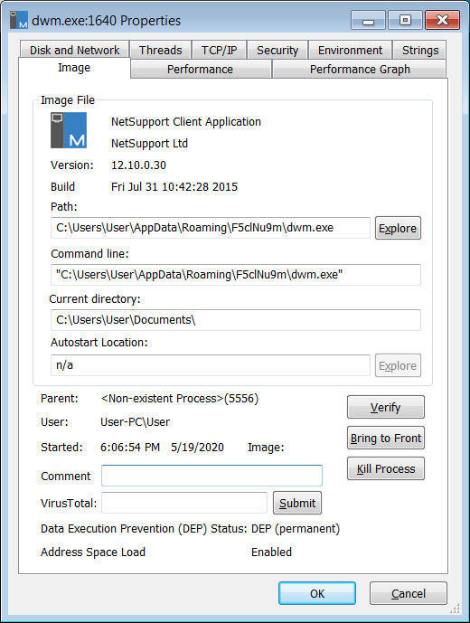 Netsupport Manager running as DWM.exe