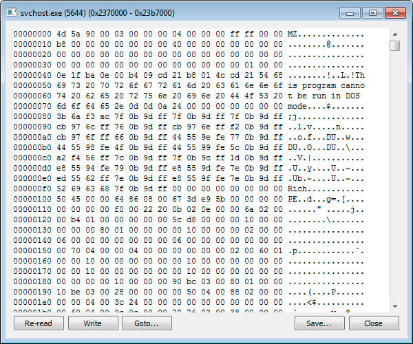 Injected DLL into svchost.exe