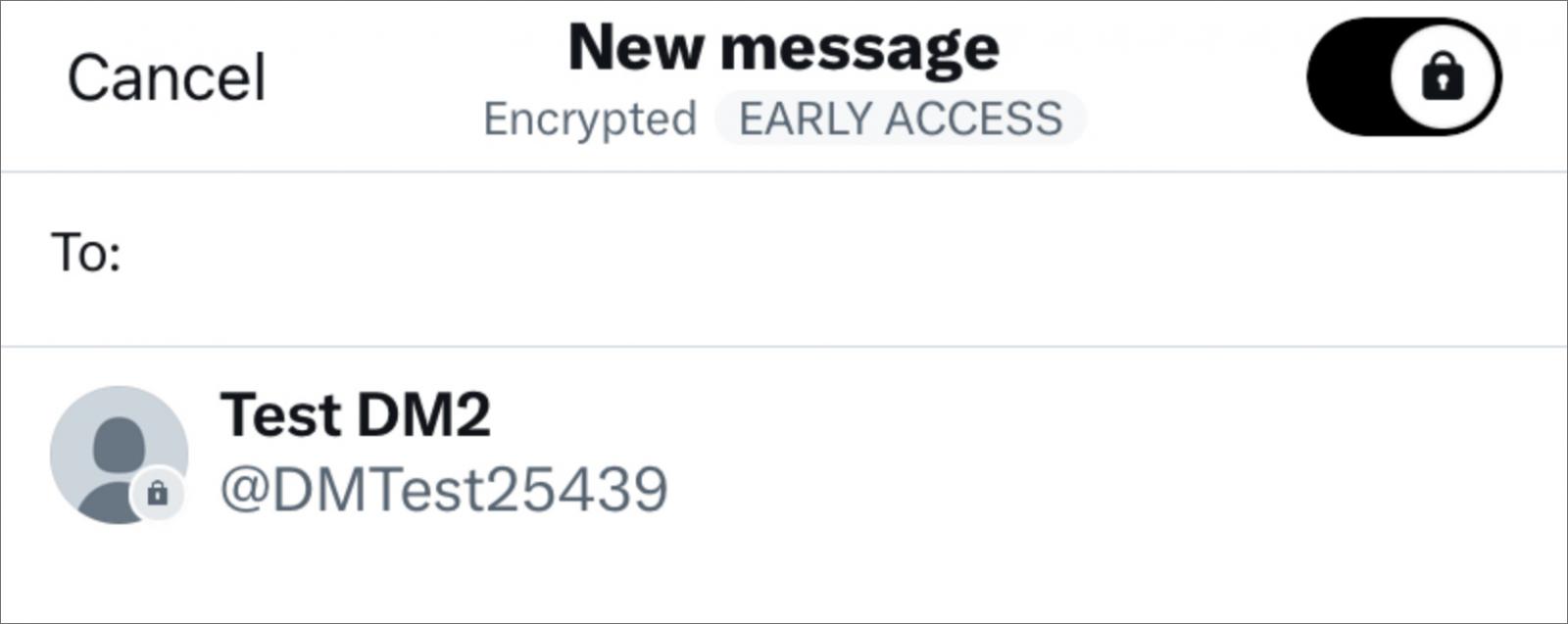 Encrypted direct messages toggle