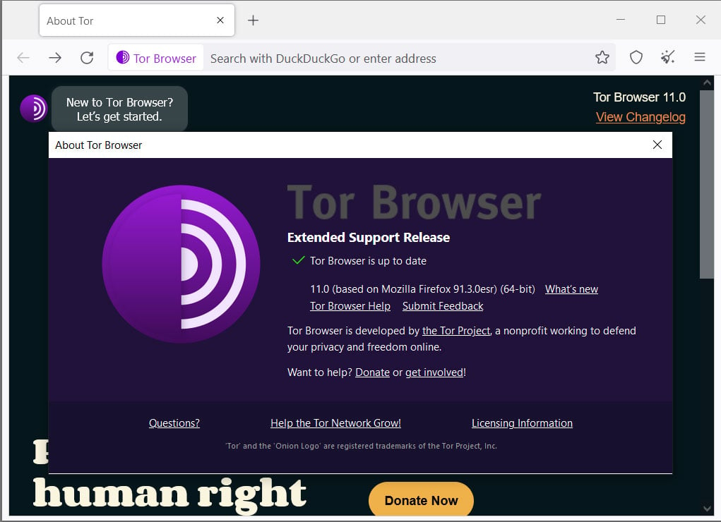 comss tor browser hydra2web