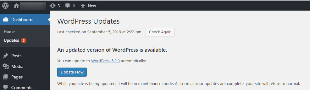 WordPress 5.2.3 Update