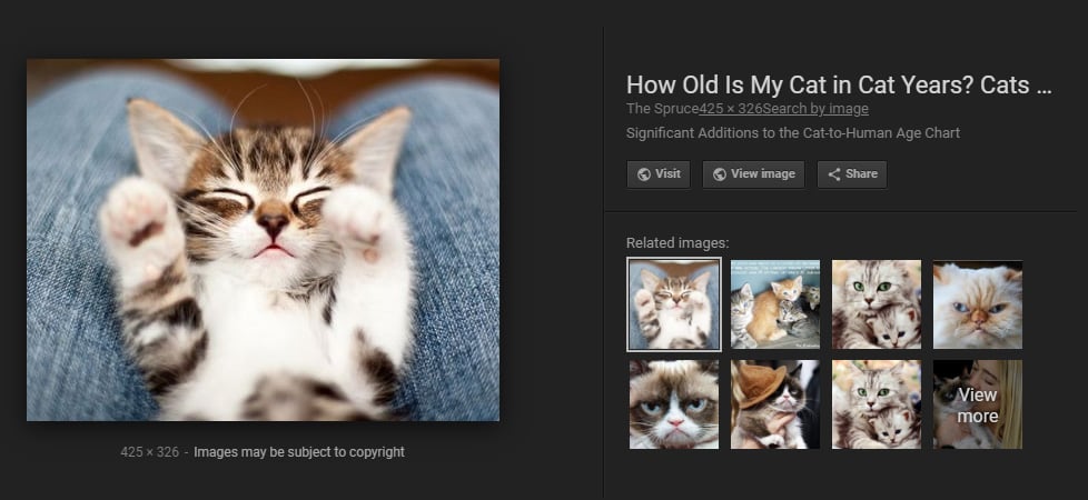 View Image Button is Back