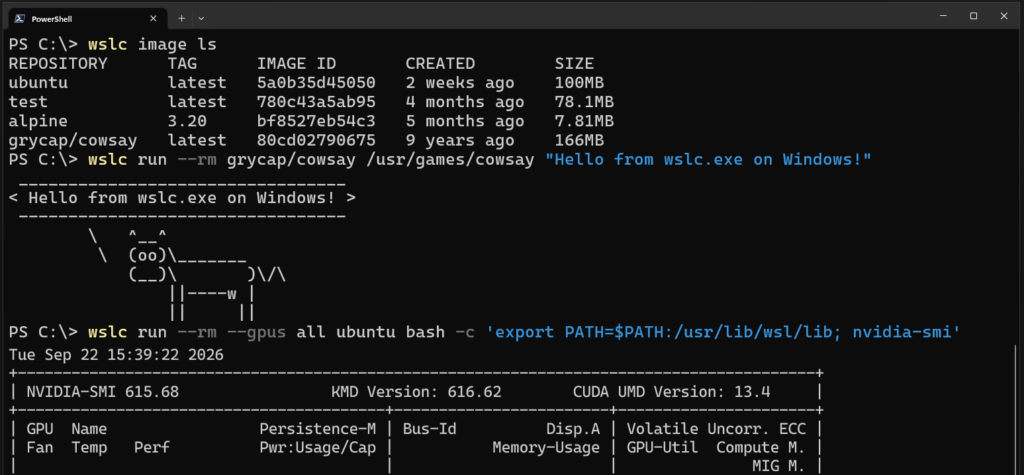 Windows 11 WSL