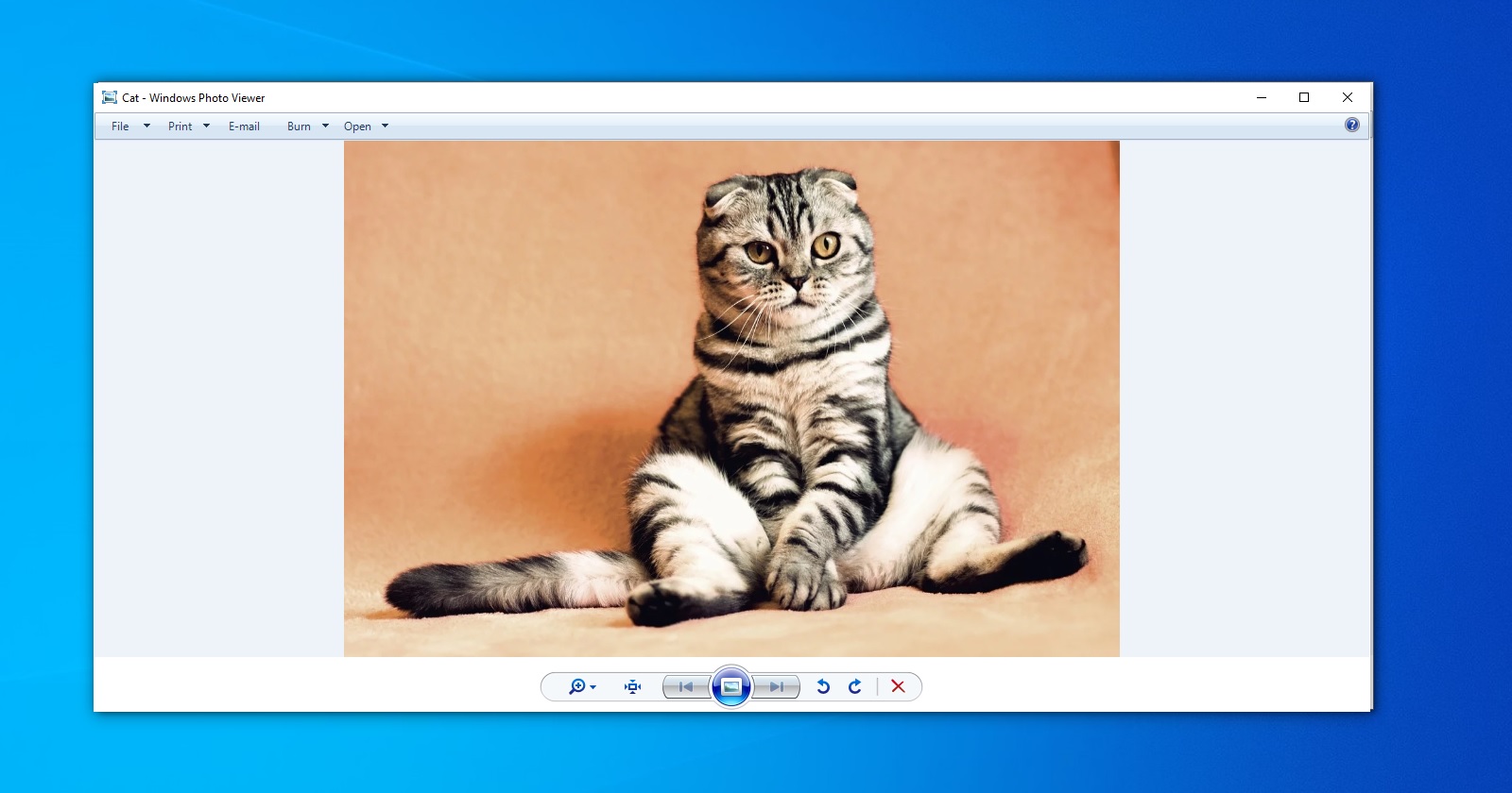 best photo viewer apps for windows 10