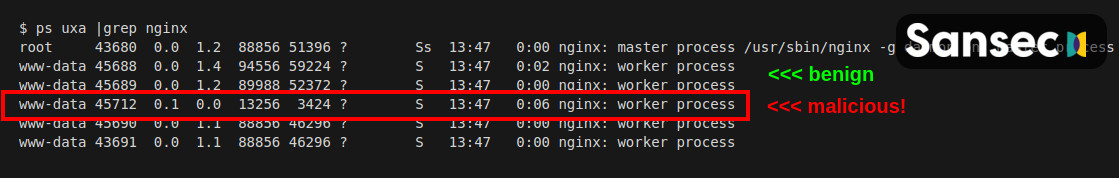 NginRAT es indistinguible de un proceso Nginx legítimo