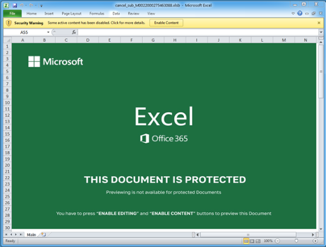 Excel document delivered via BazaFlix campaign