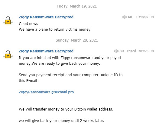 ZiggyMoneyBack.jpg ZiggyMoneyBack.jpg