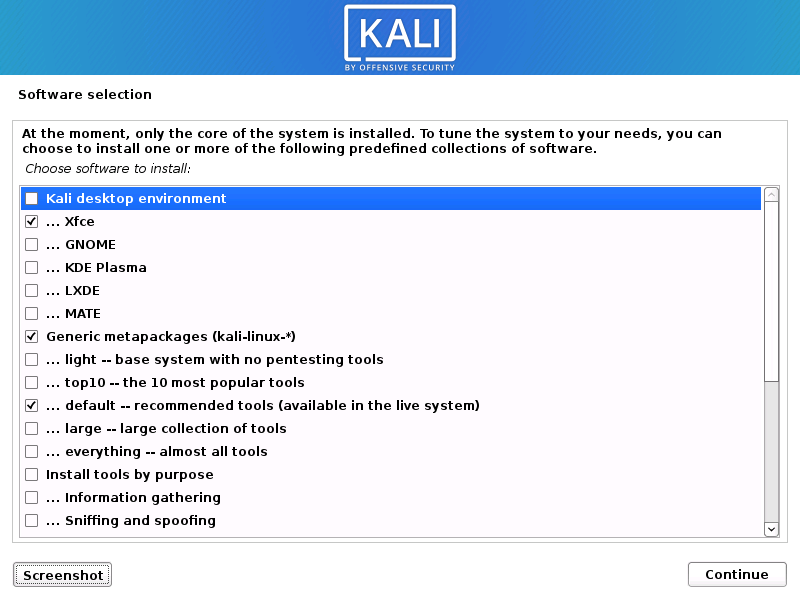 Kali Single Installer