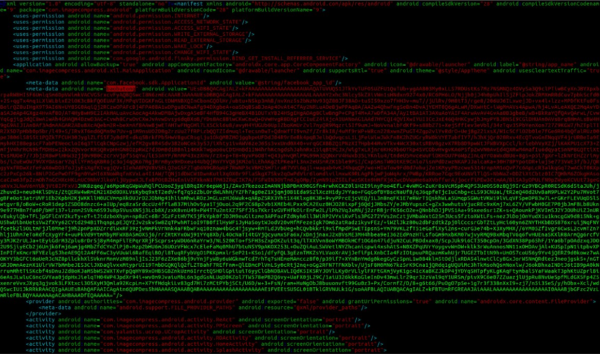 Manifest file containing the malicious dex payload