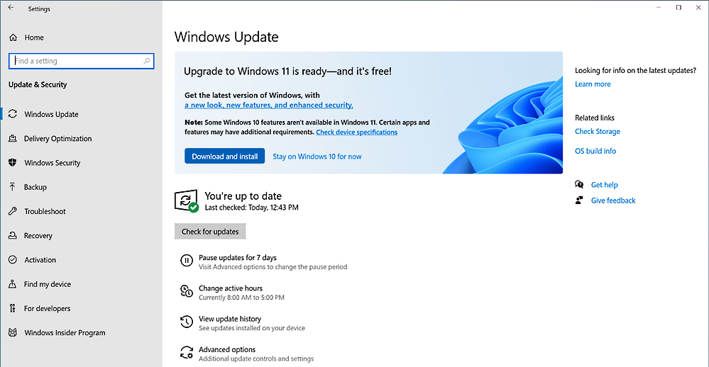 Windows 11 enterprise feature update