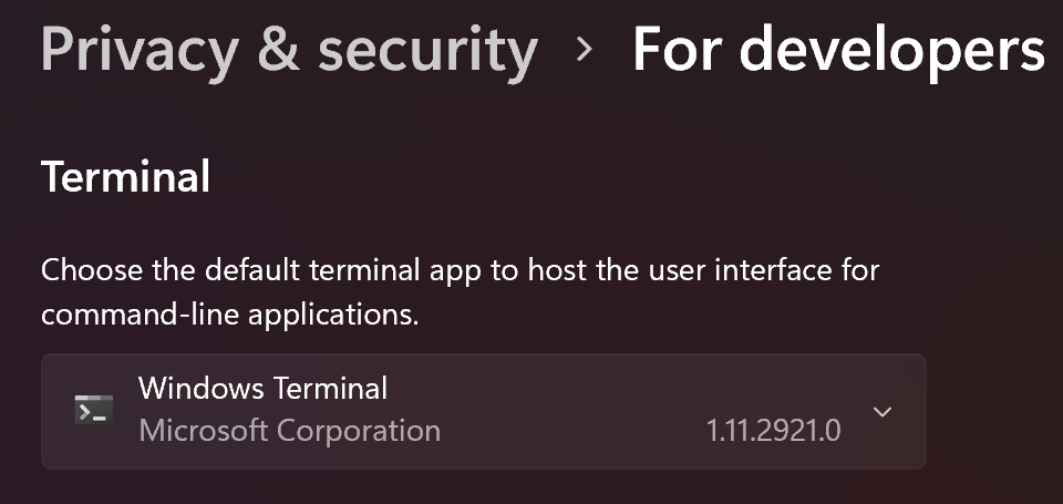 Windows 11 default terminal