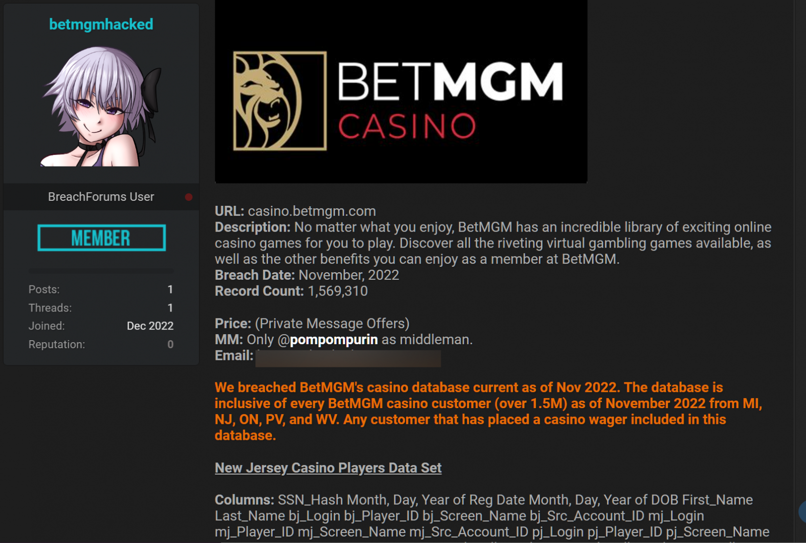 BetMGM のデータが売りに出されている