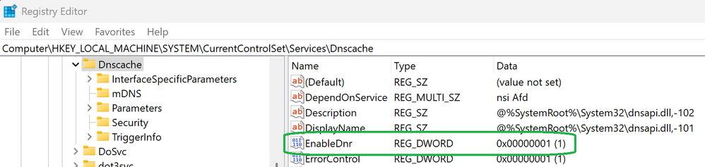 EnableDnr registry key