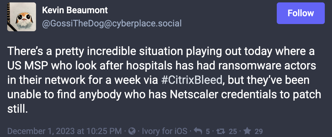 Citrix Bleed US MSP
