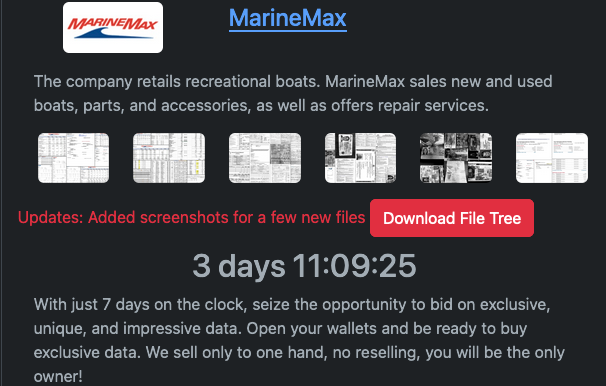 MarineMax entry on Rhysida leak site