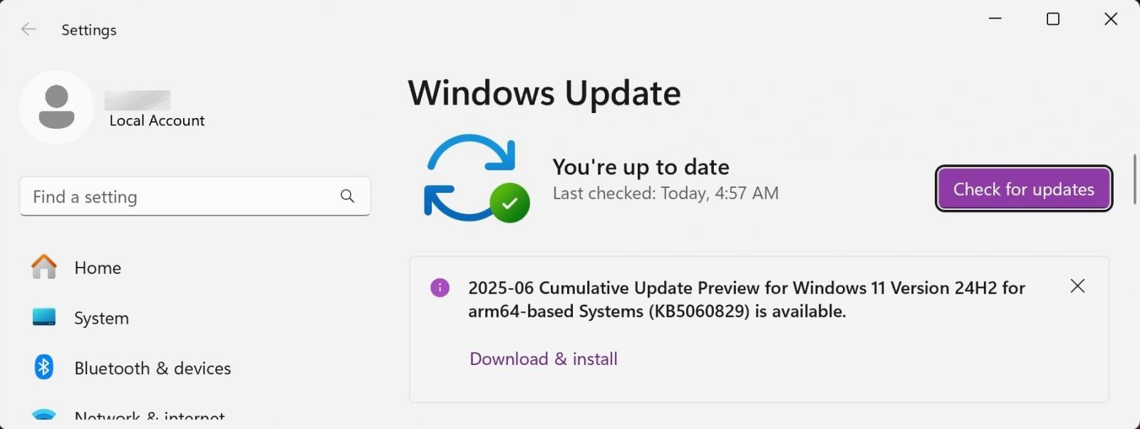 KB5060829 preview update