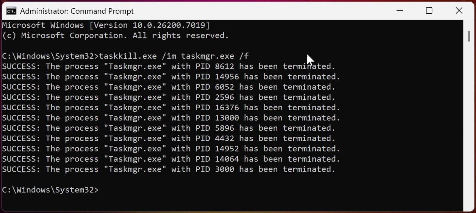 Killing Task Manager background processes