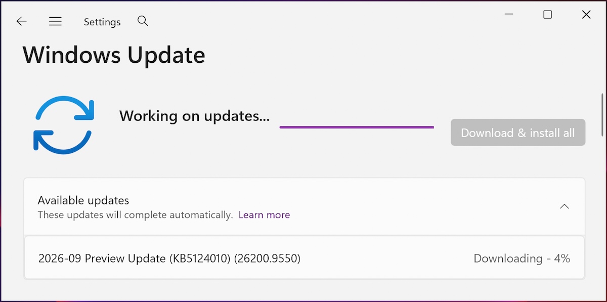 KB5124010 preview update