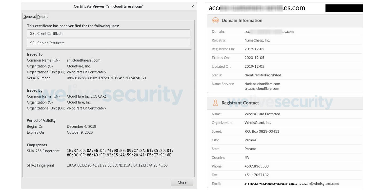 Phishing domain SSL certificate and Whois info
