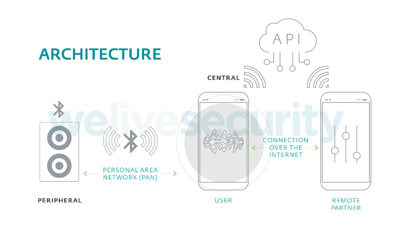 architecture of sex devices