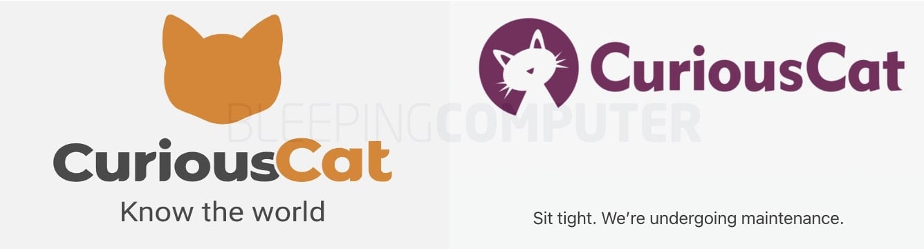 Official and counterfeit Curious Cat logo