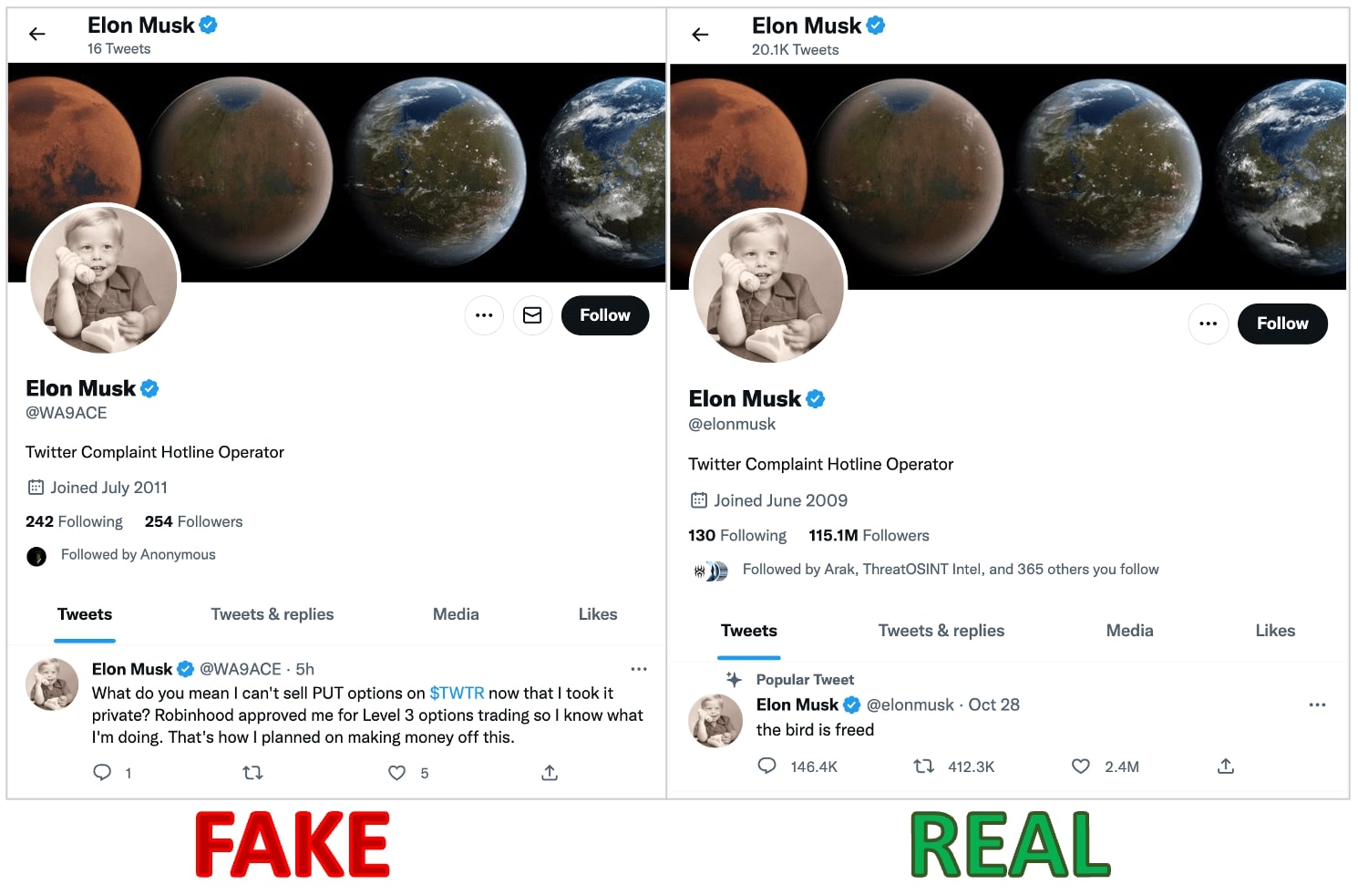 Account Twitter di Elon Musk falsi e reali, entrambi verificati