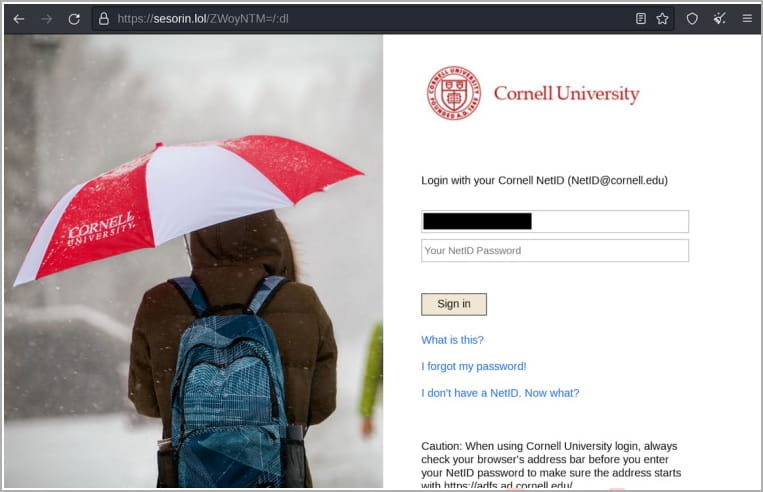 Fake Cornell University website