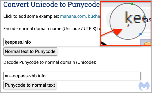 Punycode used in the campaign