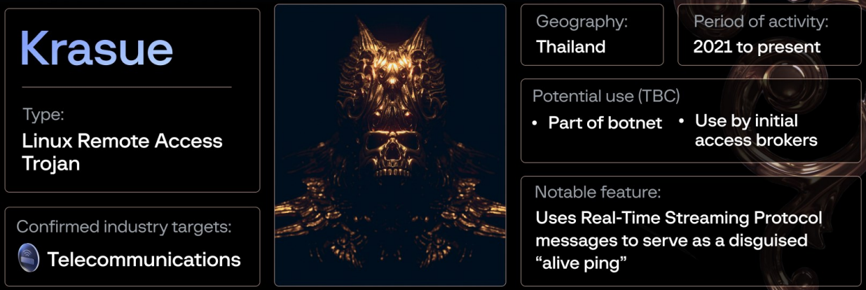 Threat actor's profile