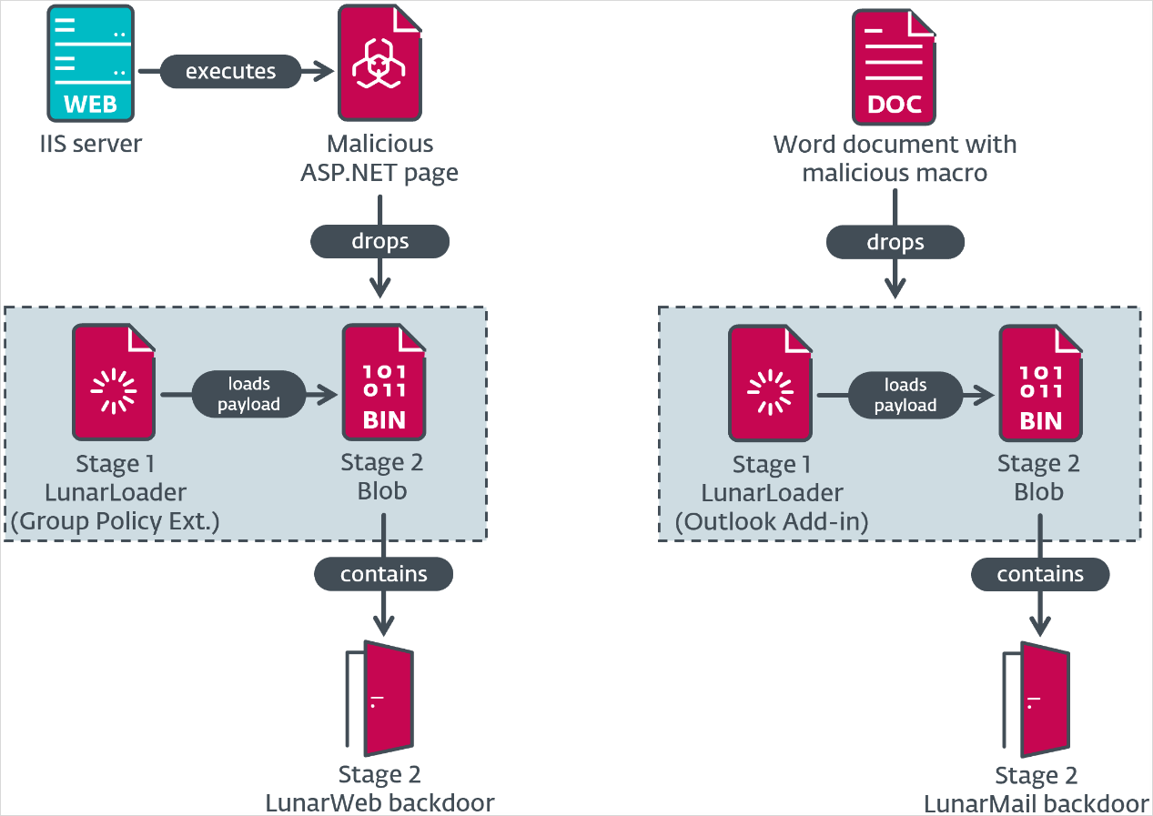 The two infection chains seen in the campaign