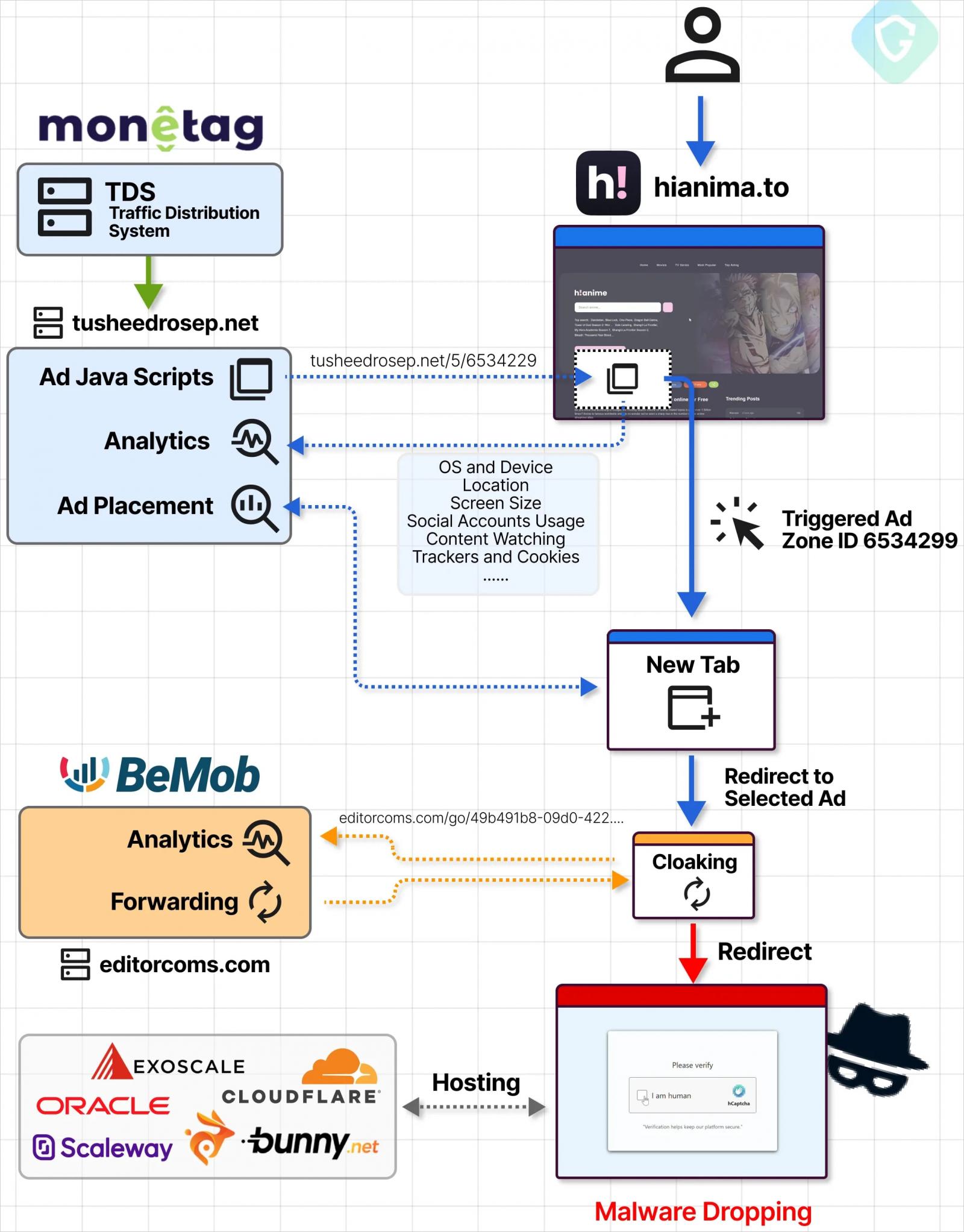 Overview of the infection chain