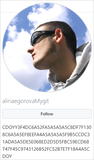 Hex string under GitHub repo owner's profile