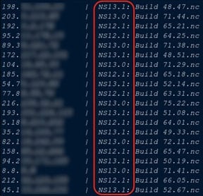 Savunmasız netscaler örneklerinin listesi